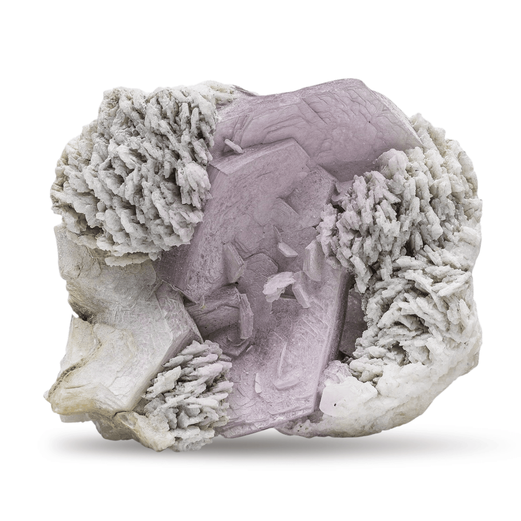 Lepidolite Minerals by Gandhara Fine Minerals
