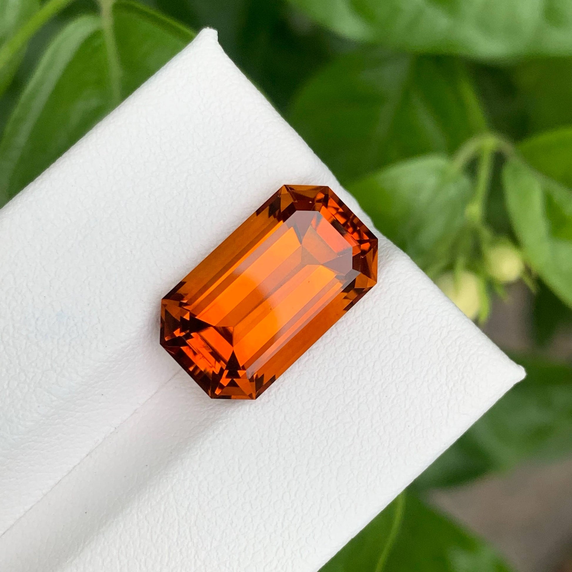 8.70 Carats Fire Citrine Stone Emerald Cut Natural Brazilian Gemstone on a white stand with green leaves in the background