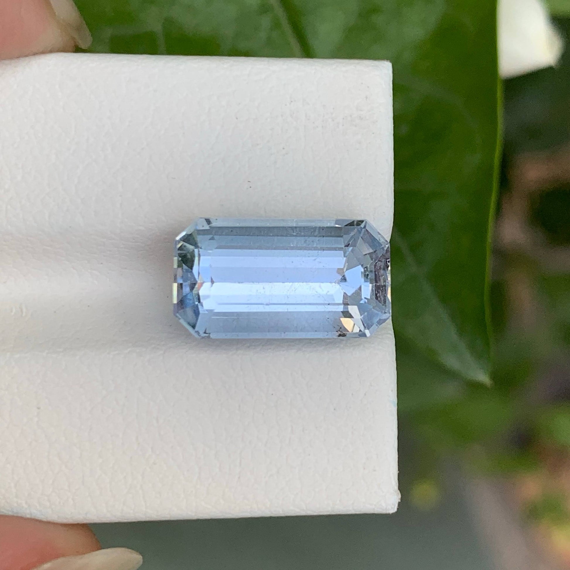 Faceted gemstone held on a white cloth with green leaves in the background