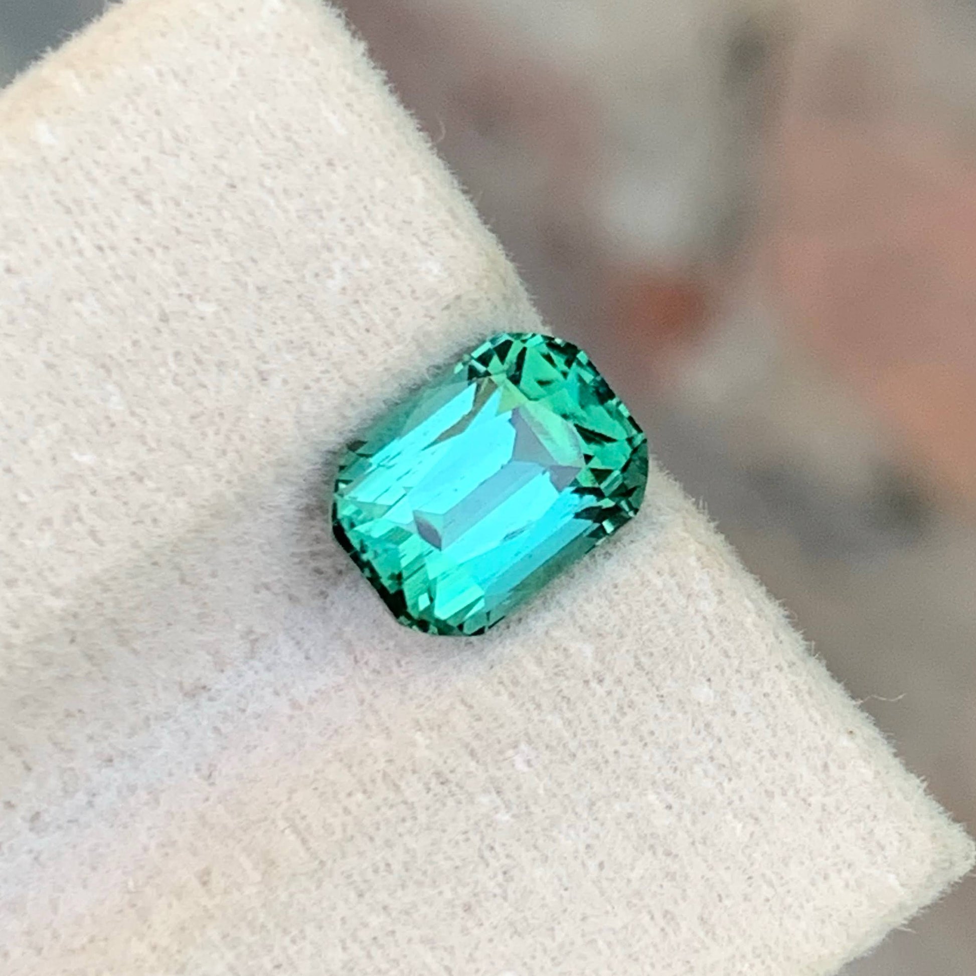2.75 Carat Greenish Tourmaline Gem 