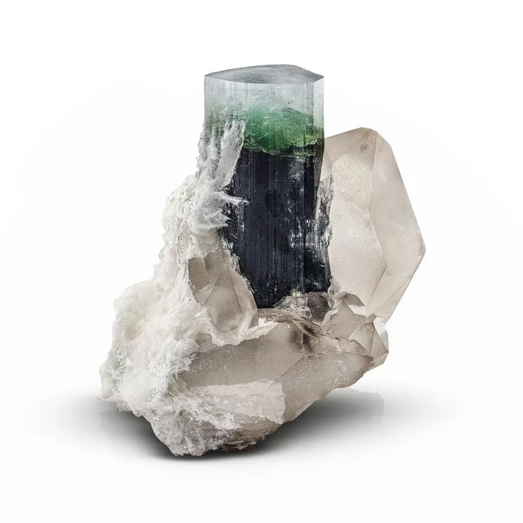 Bi color Tourmaline Crystal on Smoky Quartzand Albite from Pakistan