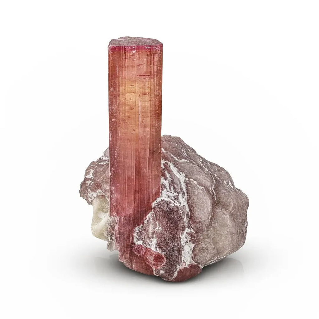 Free Standing Rubilite Tourmaline Crystal on Lepidolite from Afghanistan