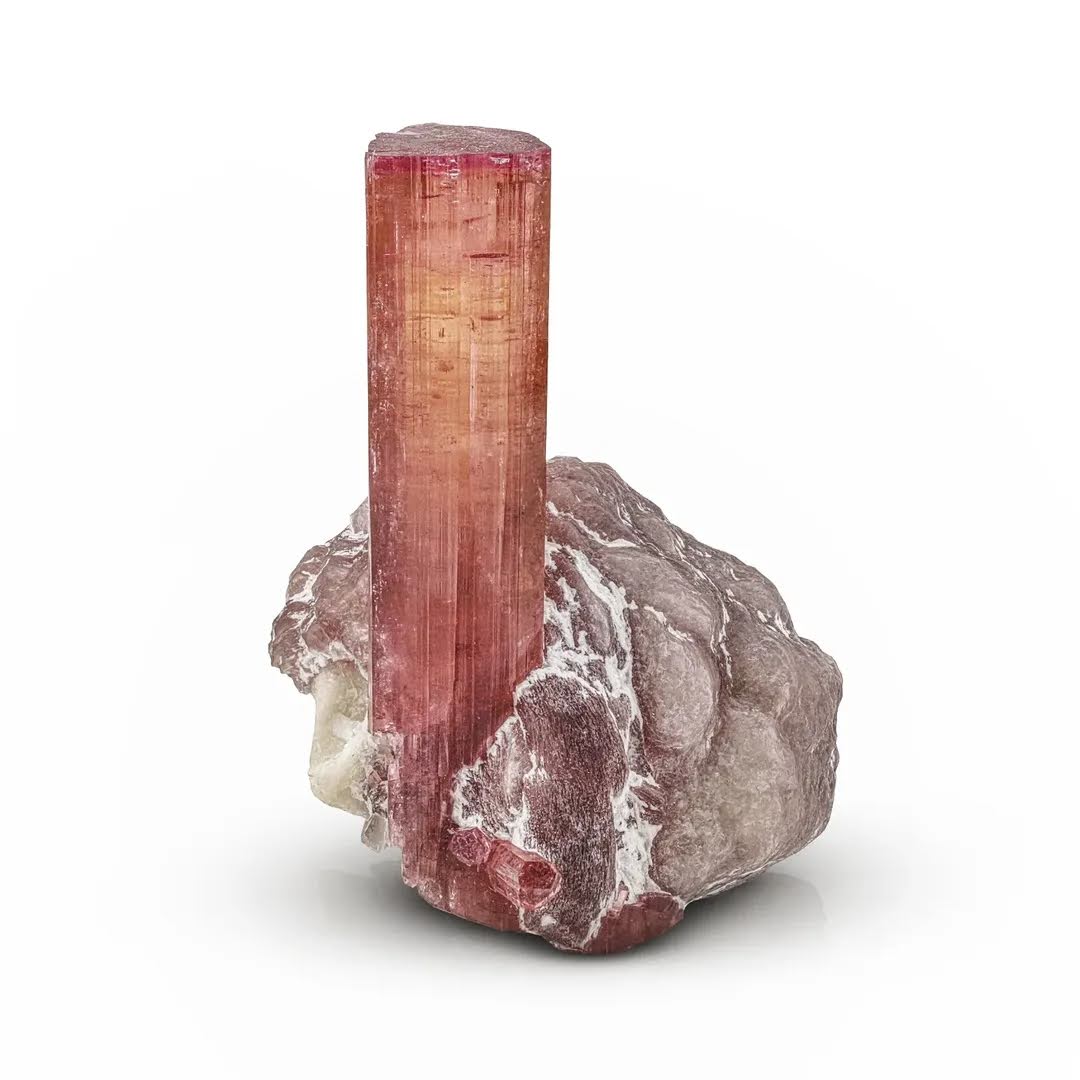 Free Standing Rubilite Tourmaline Crystal on Lepidolite from Afghanistan