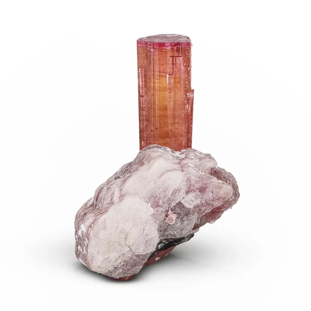 Free Standing Rubilite Tourmaline Crystal on Lepidolite from Afghanistan
