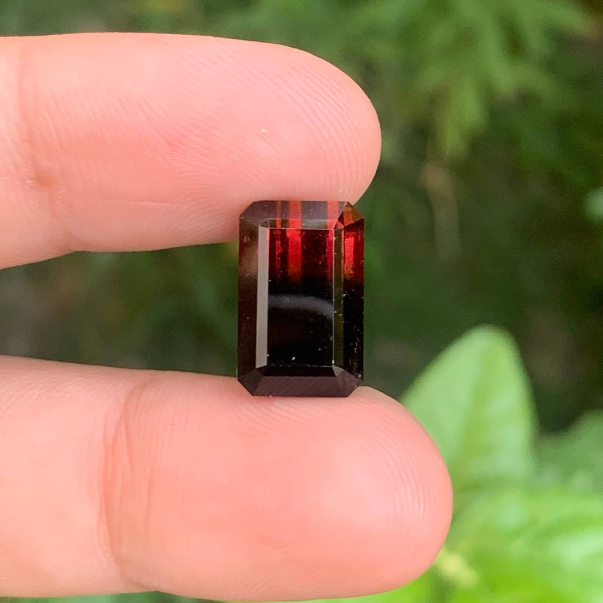 9.00 Ct Bicolor Tourmaline Emerald Cut