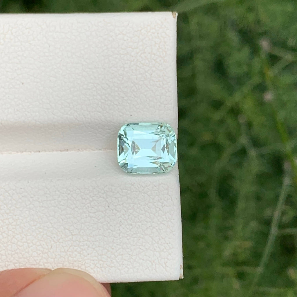Faceted gemstone on a white card with a green natural background