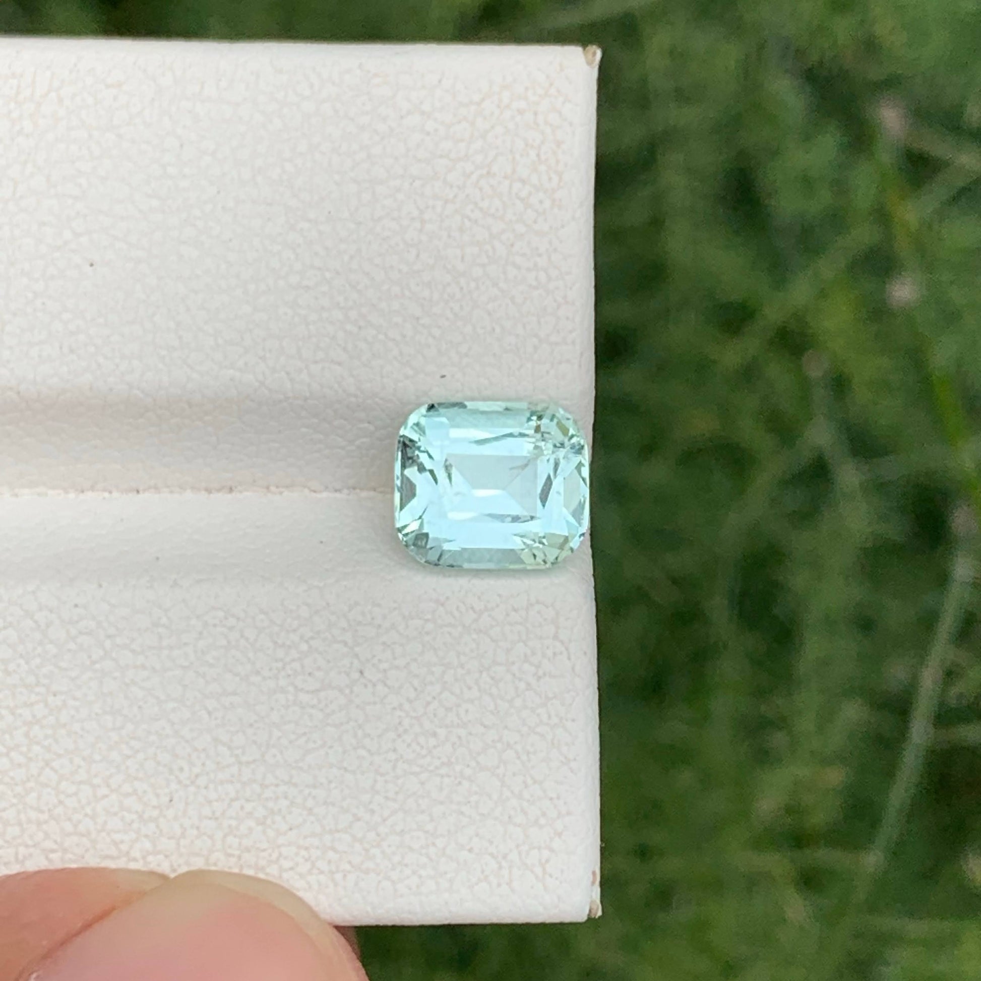 Faceted gemstone on a white card with a blurred green background