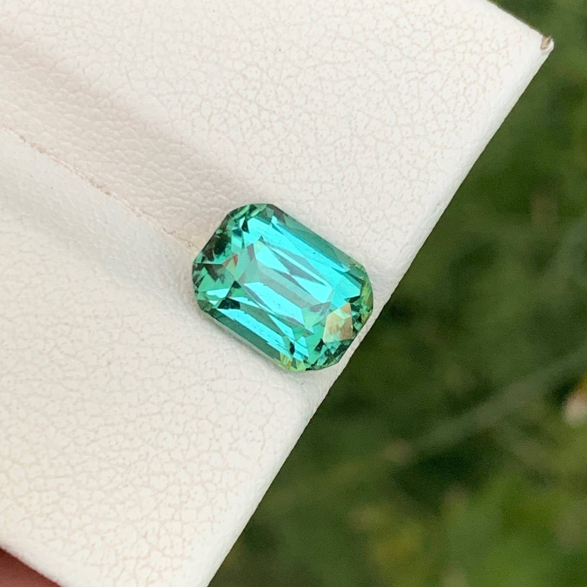 2.75 Carat Greenish Tourmaline Gem 
