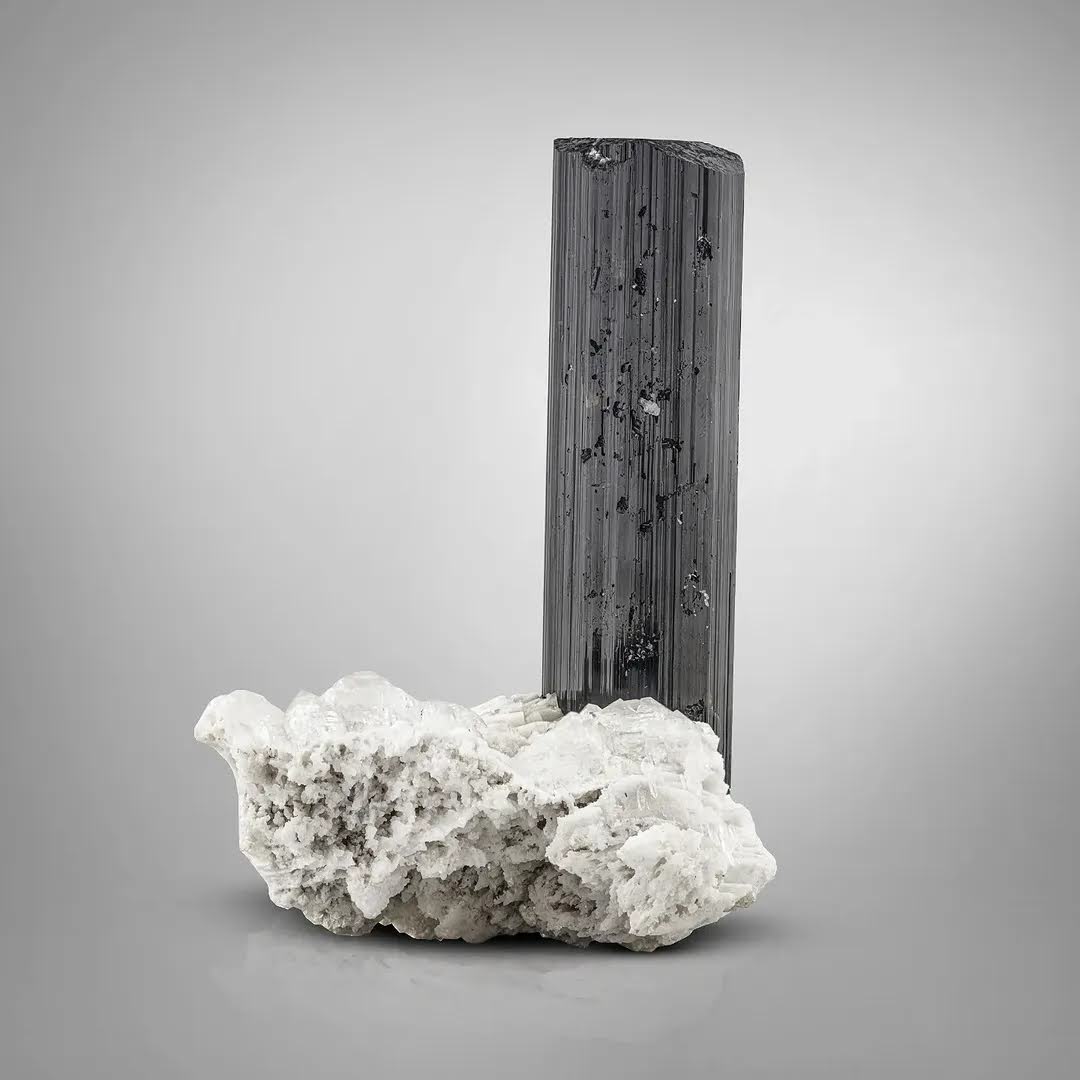 Free Standing Schorl Black Tourmaline on Albite from Pakistan