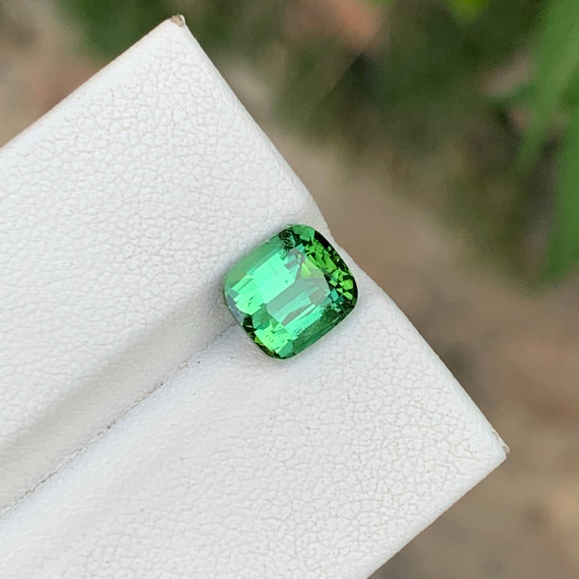 2.75 Carat Greenish Blue Tourmaline