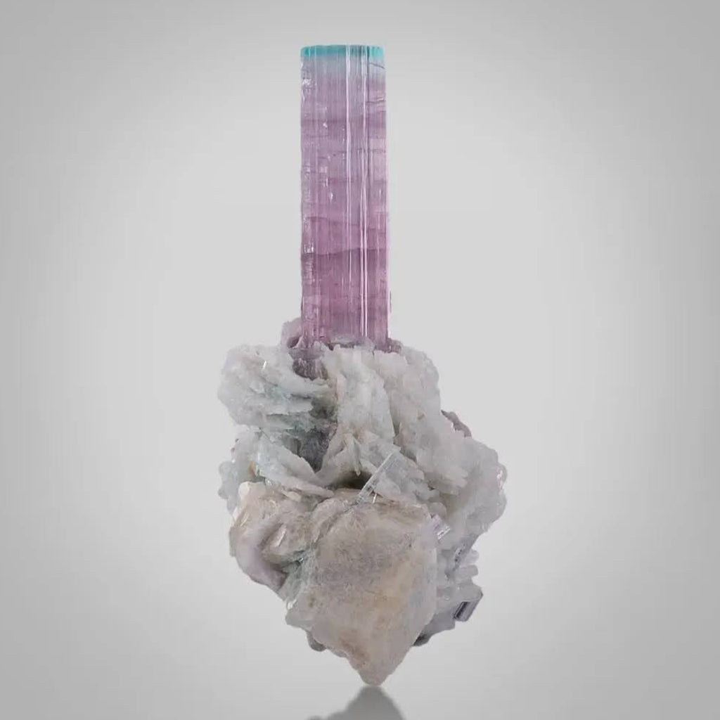 Aesthetic Bicolor Tourmaline