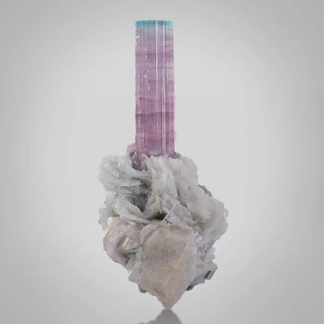 Aesthetic Bicolor Tourmaline