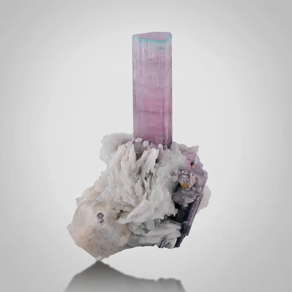 Aesthetic Bicolor Tourmaline
