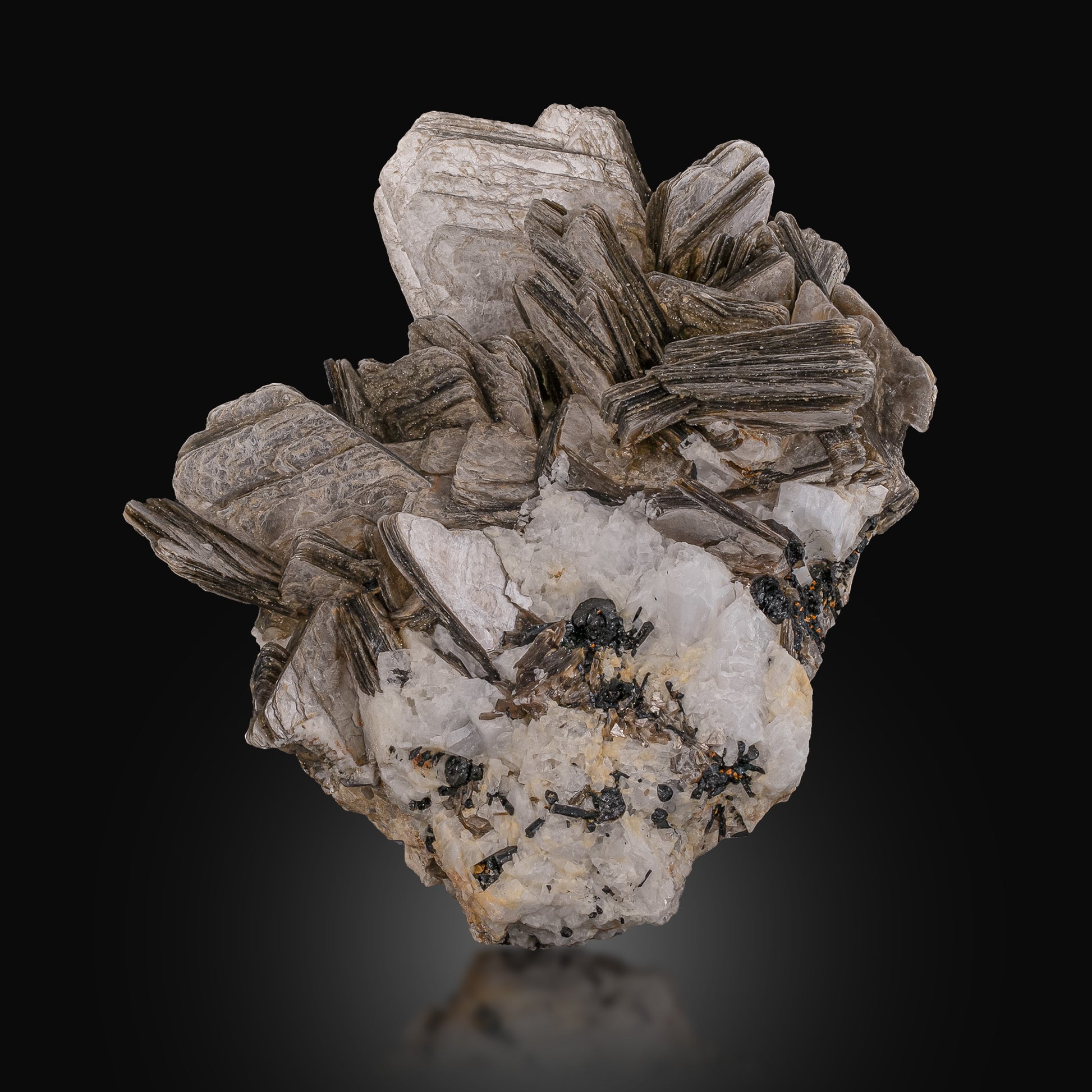 Grown Muscovite With Garnet 