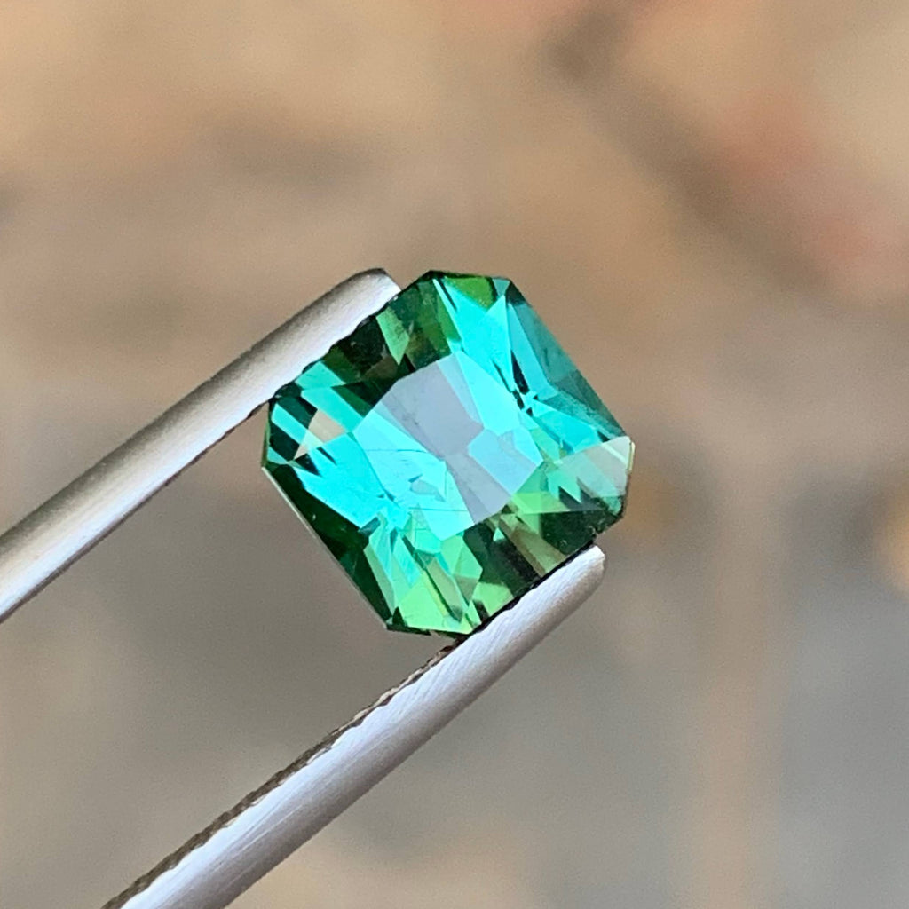 2.70 Carat Bluish Tourmaline