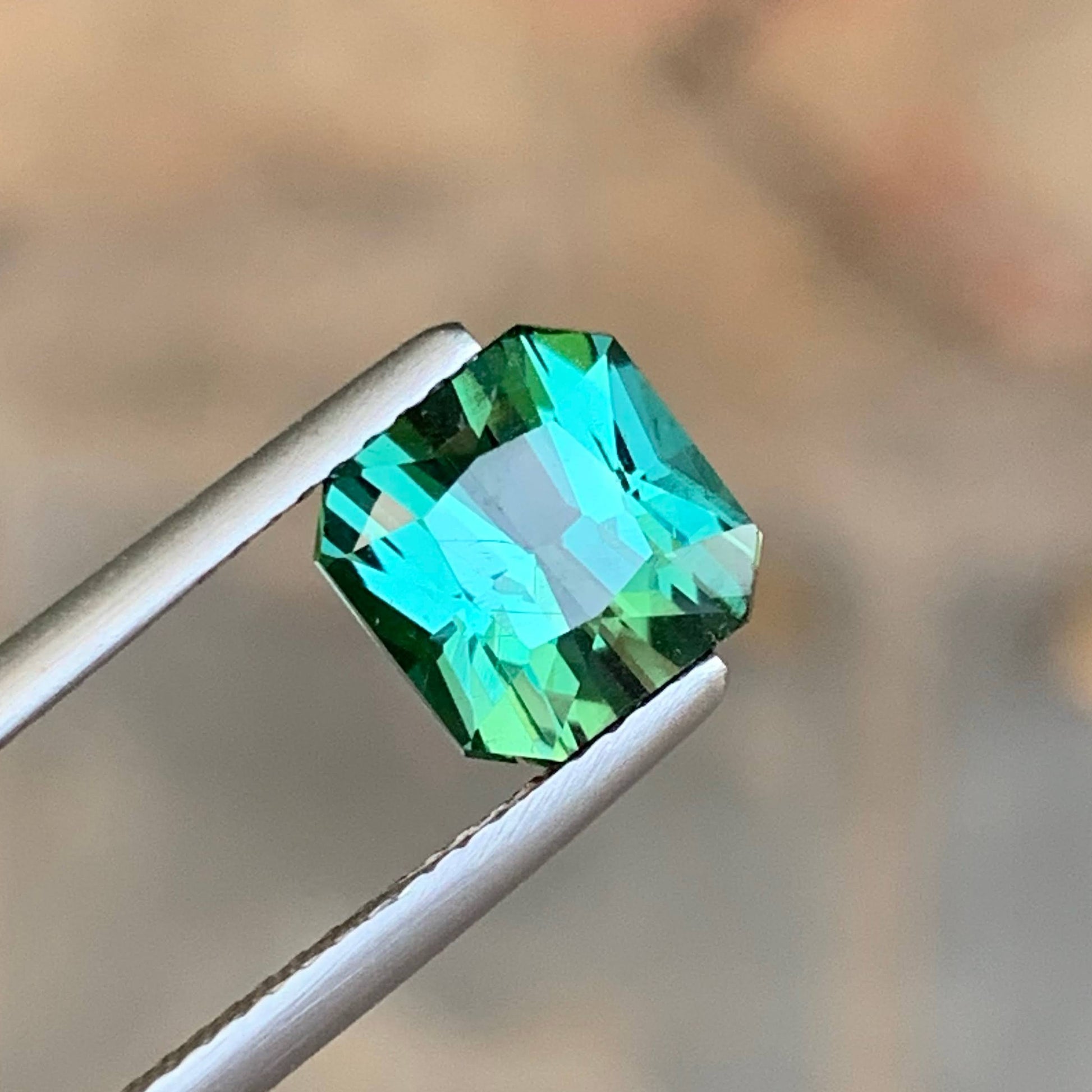 2.70 Carat Bluish Tourmaline