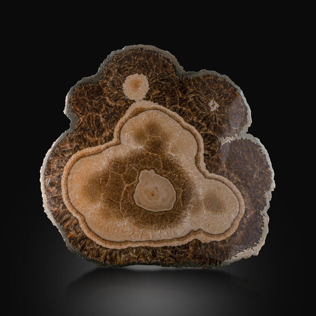 Combination of Polished Barite with Marcasite from Poland