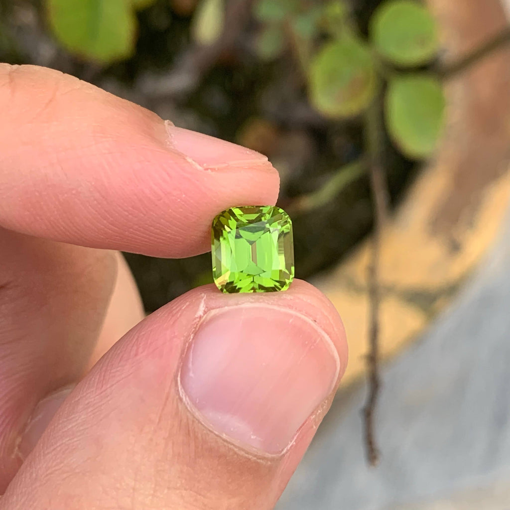 2.95 Carat Natural Loose Apple Green Peridot Cushion Cut Pakistani Gemstone