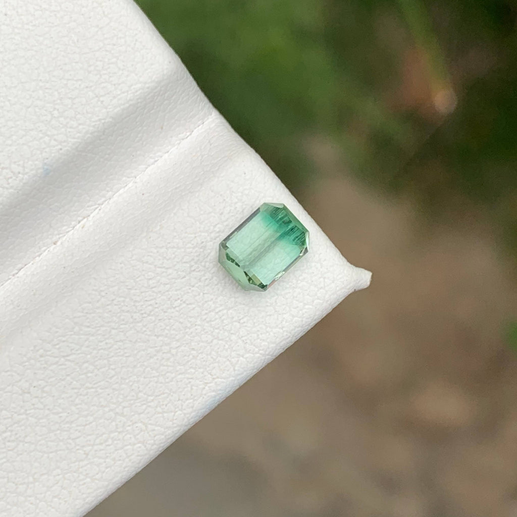 1.10 Carat Bicolor Afghan Tourmaline