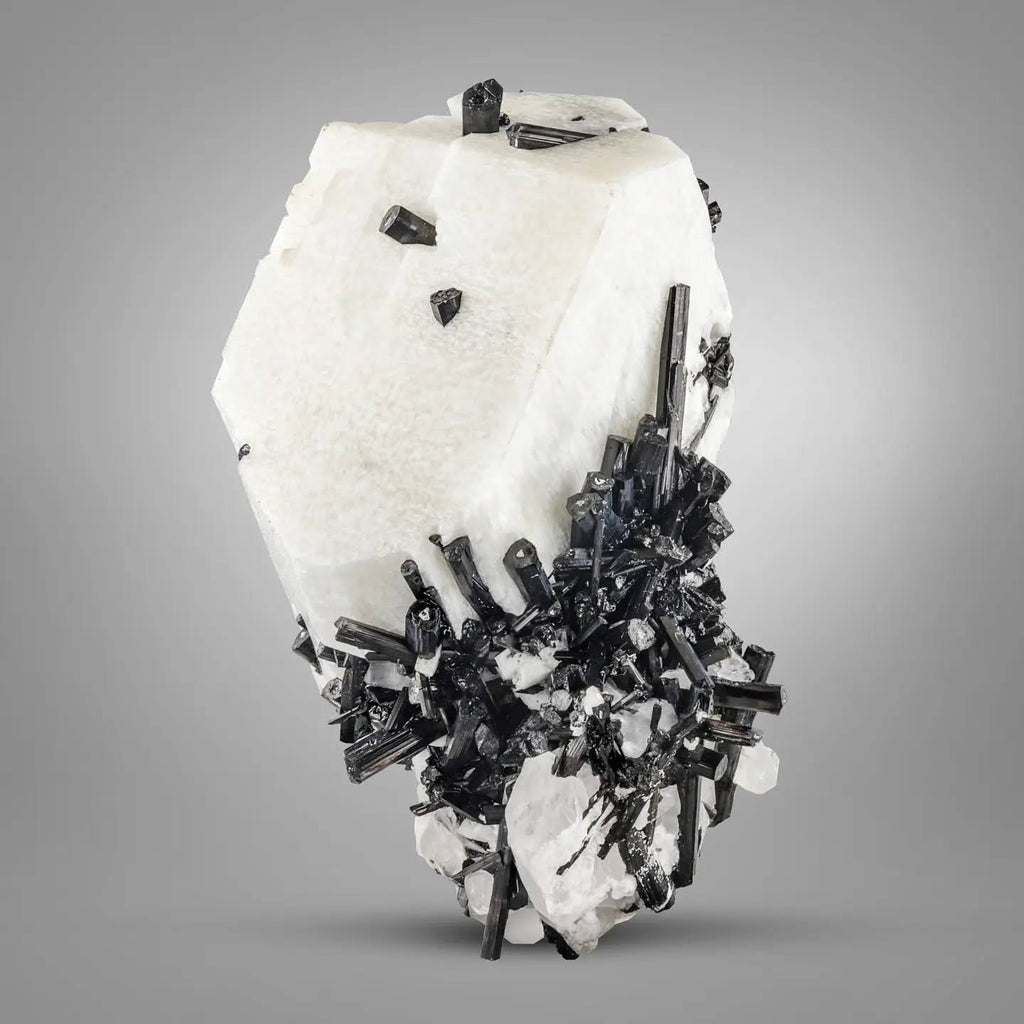 contrast of Black Tourmaline cluster on milky white Feldspar from Pakistan