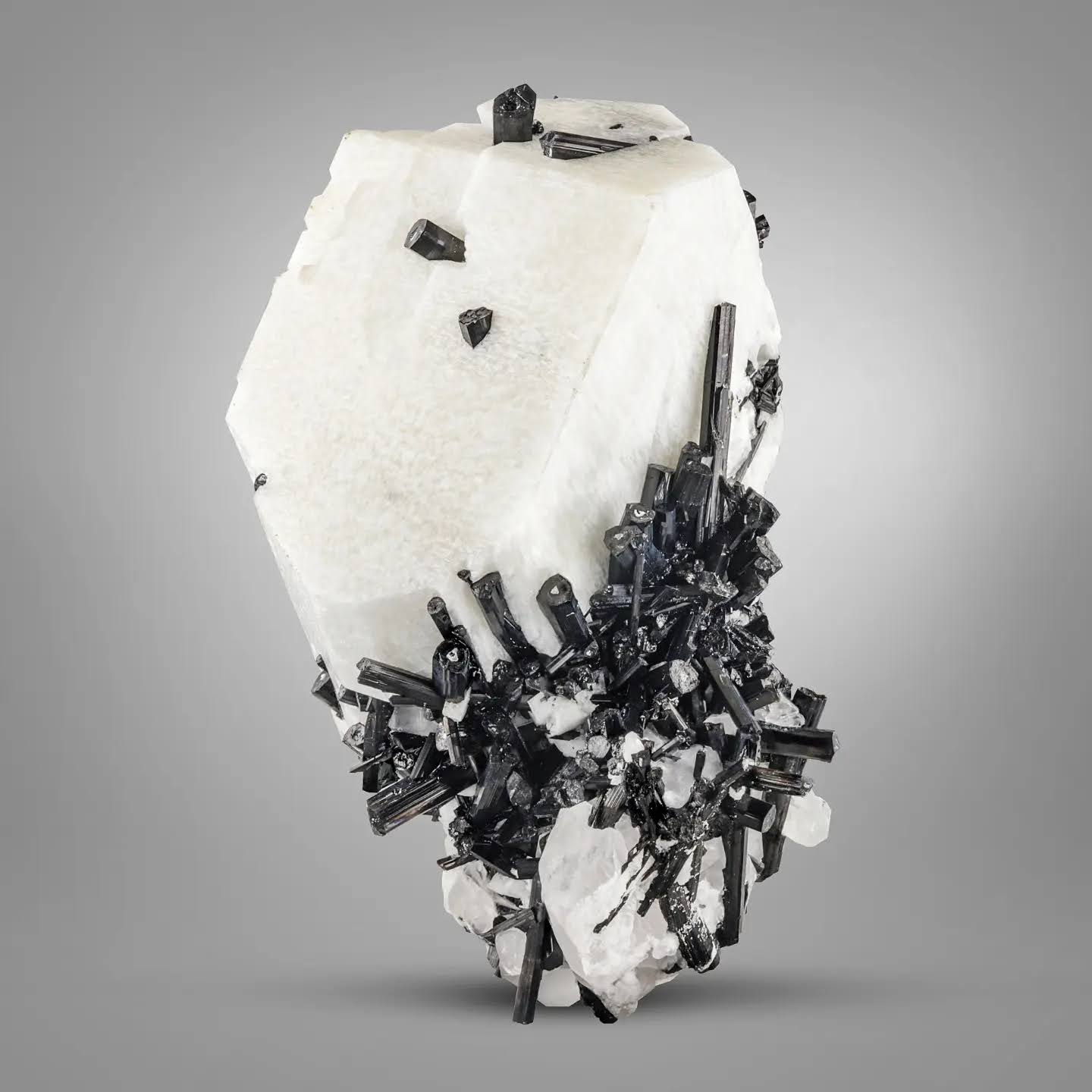 contrast of Black Tourmaline cluster on milky white Feldspar from Pakistan