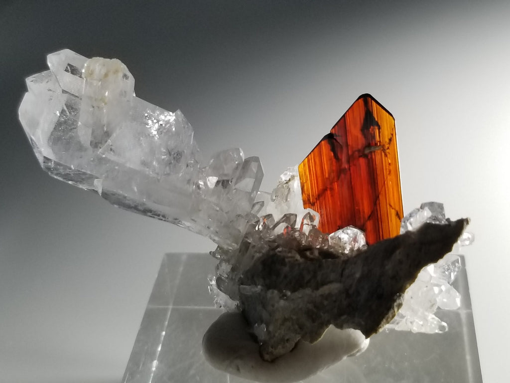  Brookite Fine Gemmy Crystal on gray background at Gandhara Fine Minerals