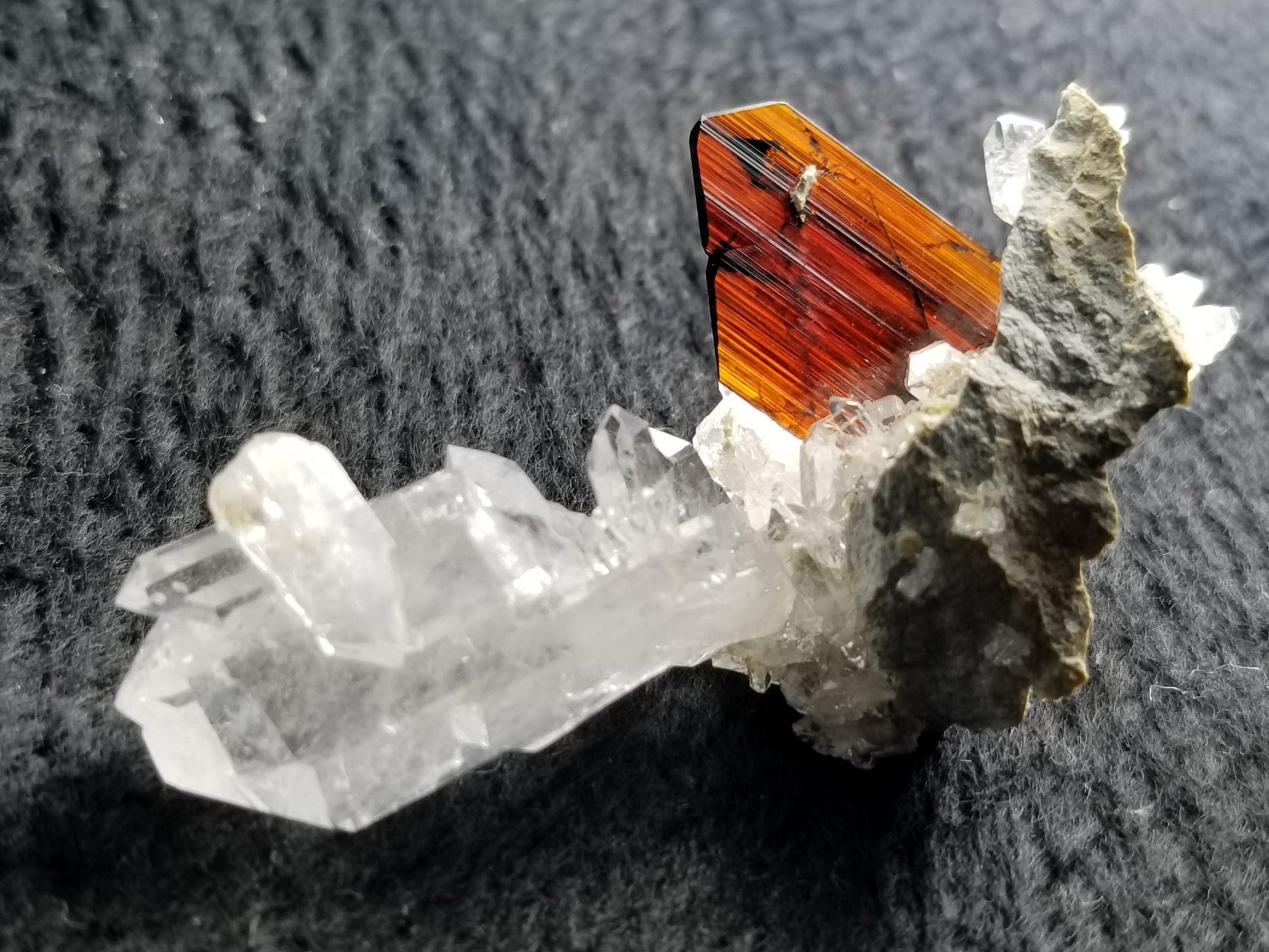  Brookite Fine Gemmy Crystal with gray background at Gandhara Fine Minerals