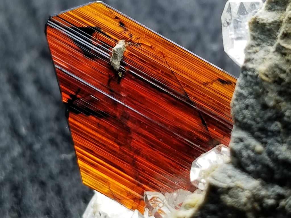  Brookite Fine Gemmy Crystal on gray background at Gandhara Fine Minerals