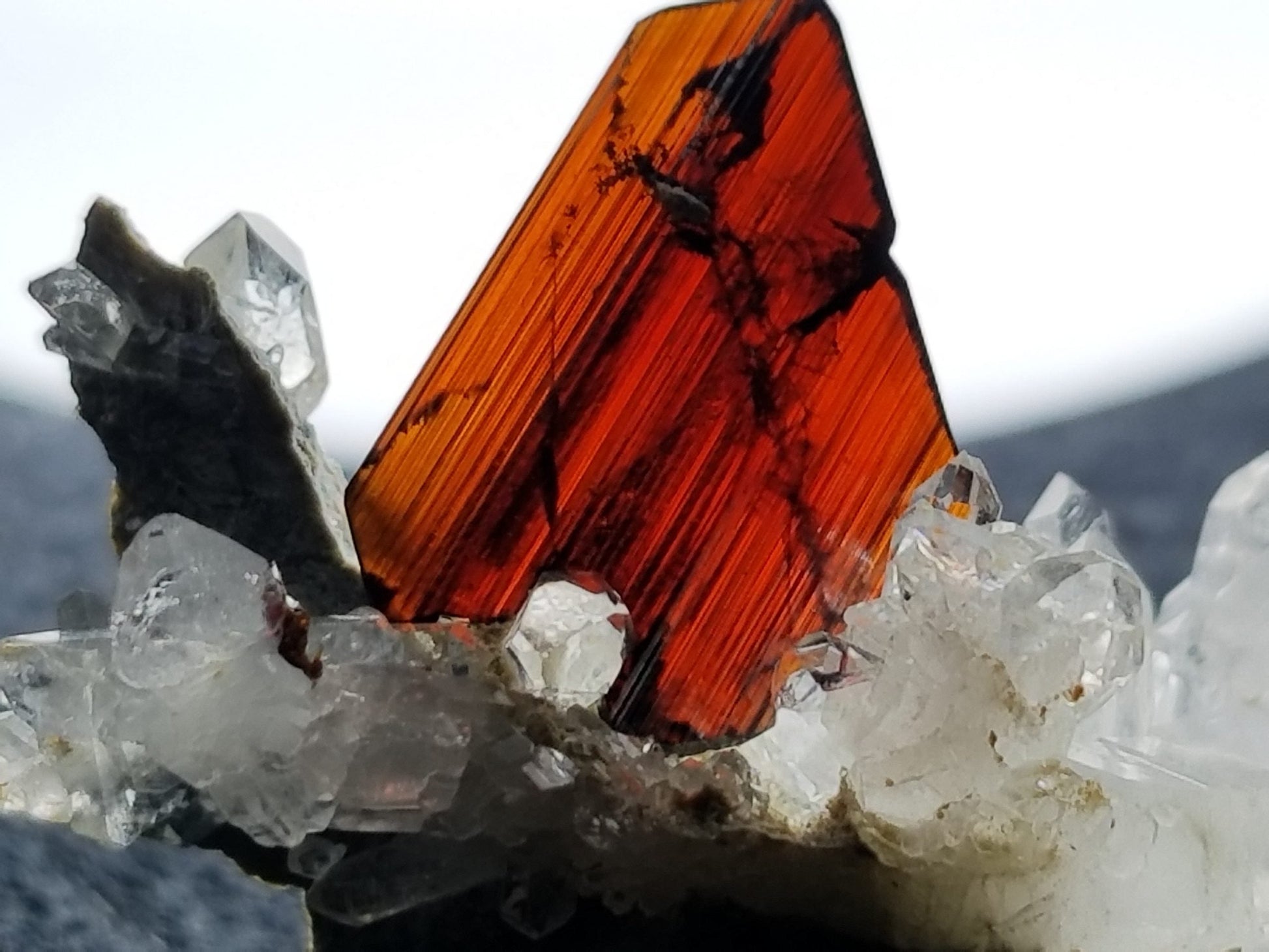  Brookite Fine Gemmy Crystal on white background at Gandhara Fine Minerals