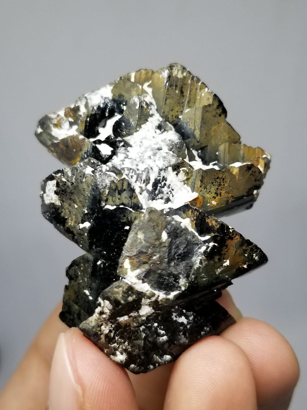 Cassiterite with nice crystal habit and shiny luster with gray background at Gandhara Fine MIernals