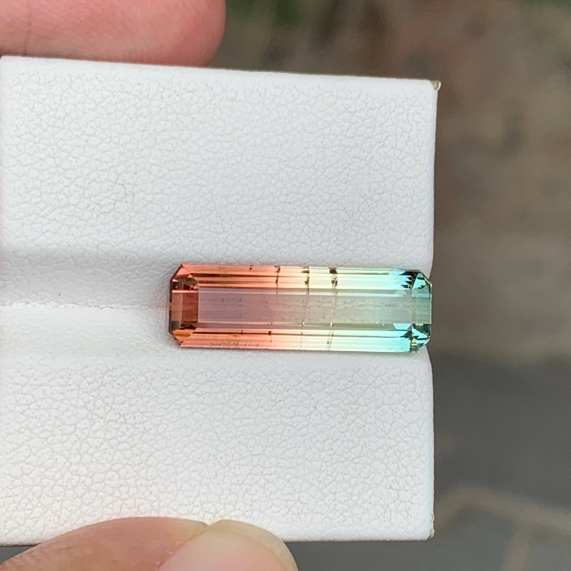 6.50 Carats Bicolor Tourmaline Gem