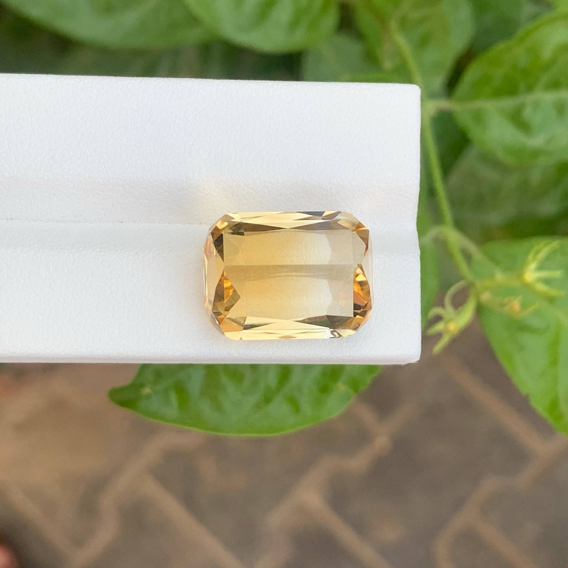 19.50 Carats Golden Bicolor Citrine