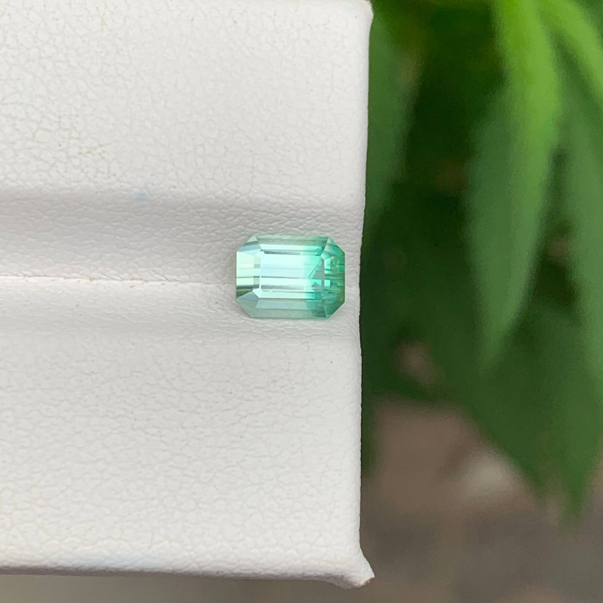 1.10 Carat Bicolor Afghan Tourmaline