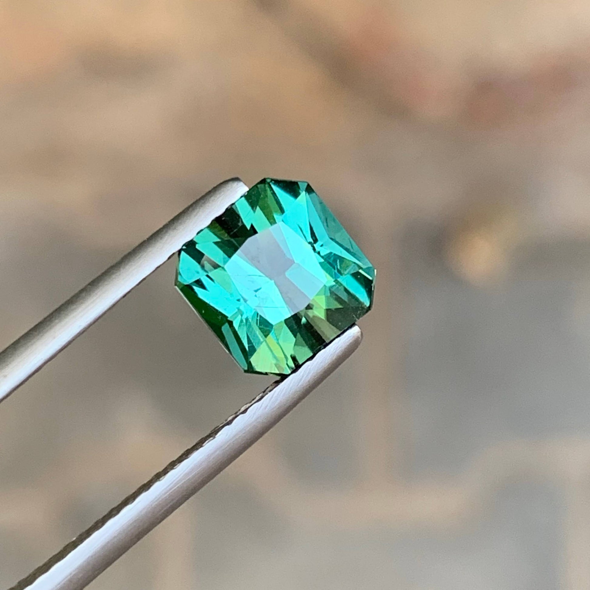 2.70 Carat Bluish Tourmaline