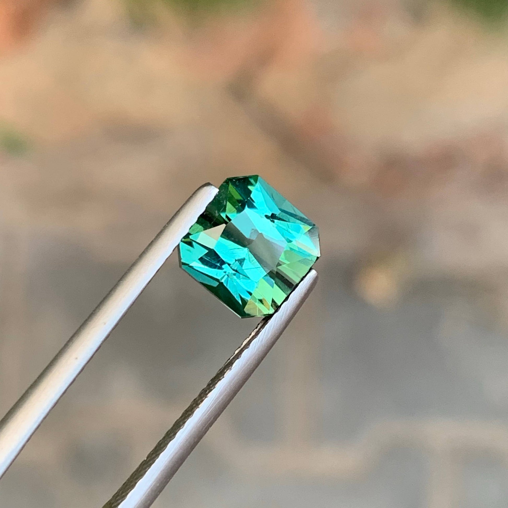 2.70 Carat Bluish Tourmaline