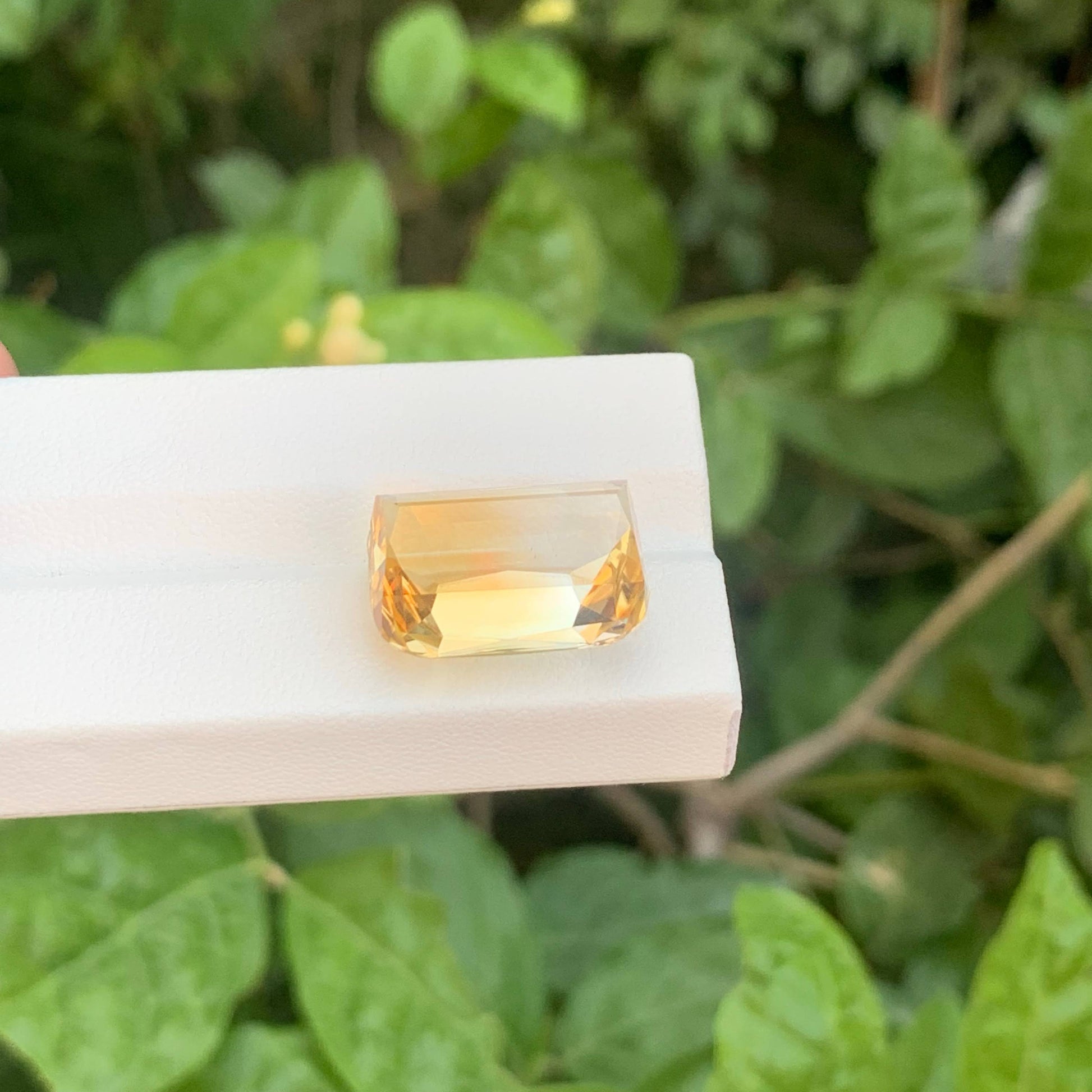 19.50 Carats Golden Bicolor Citrine