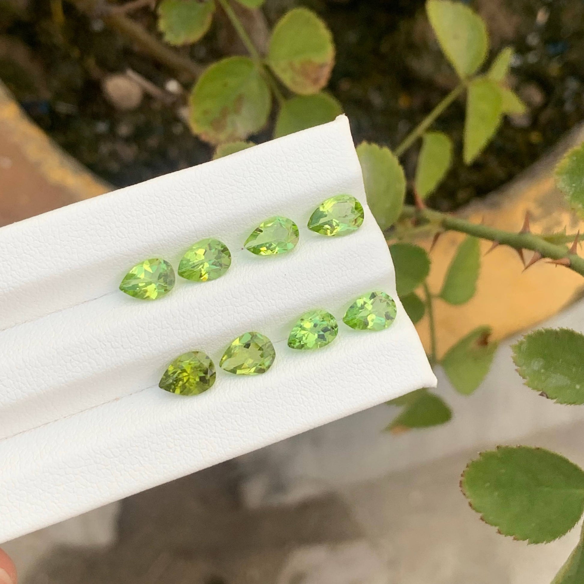 5.25 Carat Natural Loose Green Peridot Jewelry Lot Pakistan Gemstone