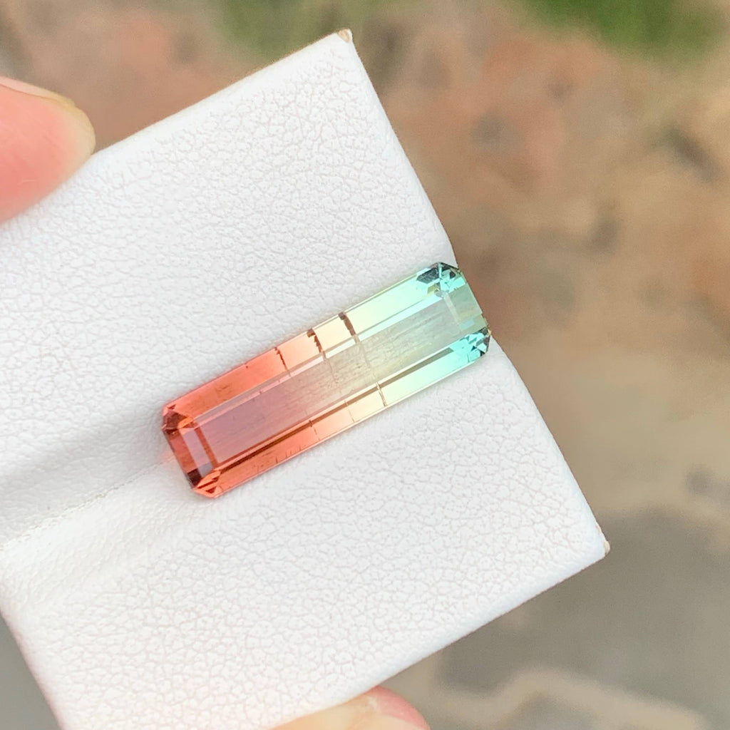 6.50 Carats Bicolor Tourmaline Gem