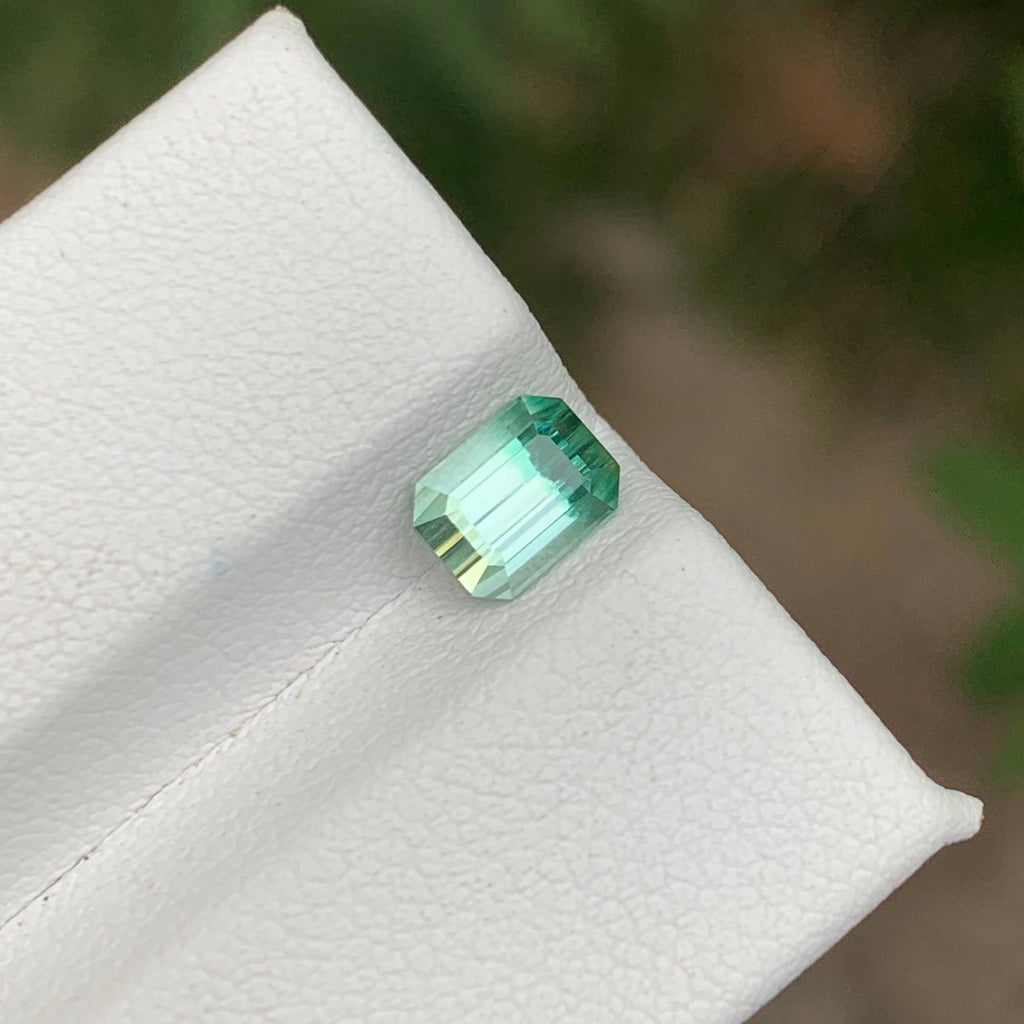 1.10 Carat Bicolor Afghan Tourmaline