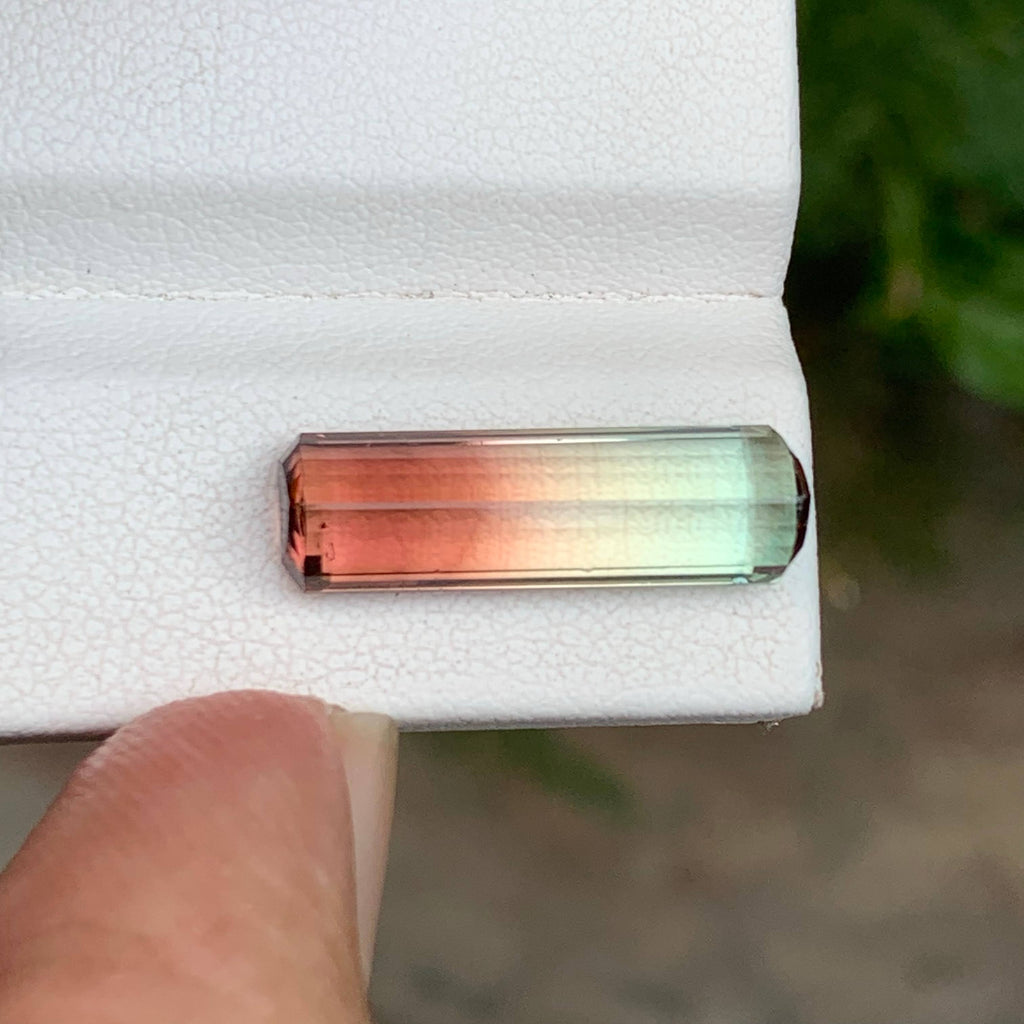 6.50 Carats Bicolor Tourmaline Gem