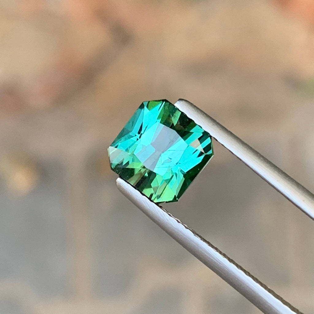 2.70 Carat Bluish Tourmaline