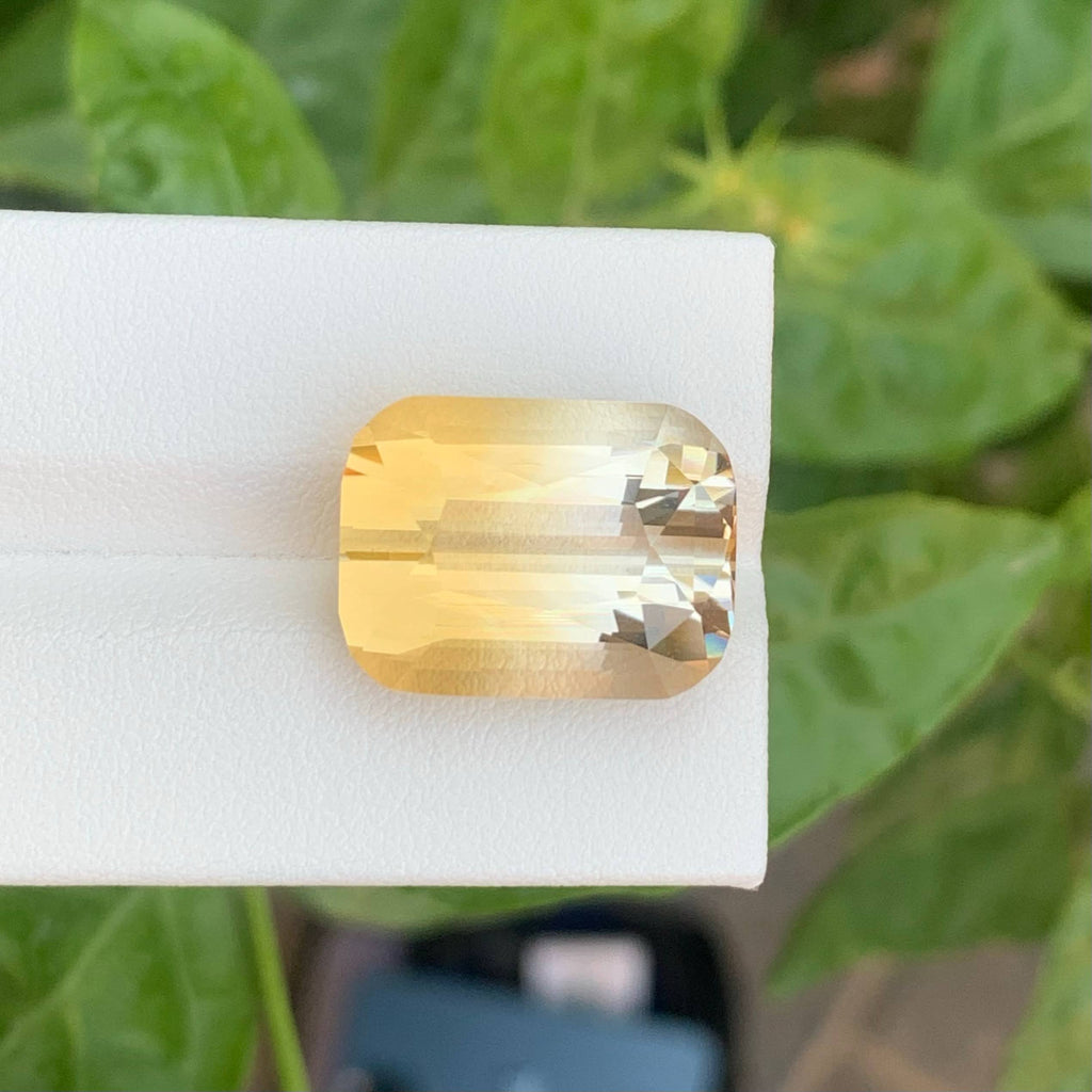 19.50 Carats Golden Bicolor Citrine