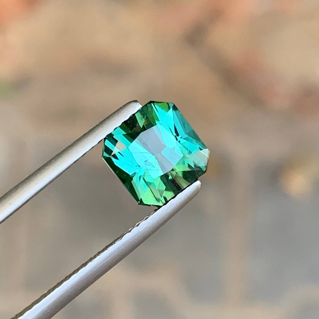 2.70 Carat Bluish Tourmaline