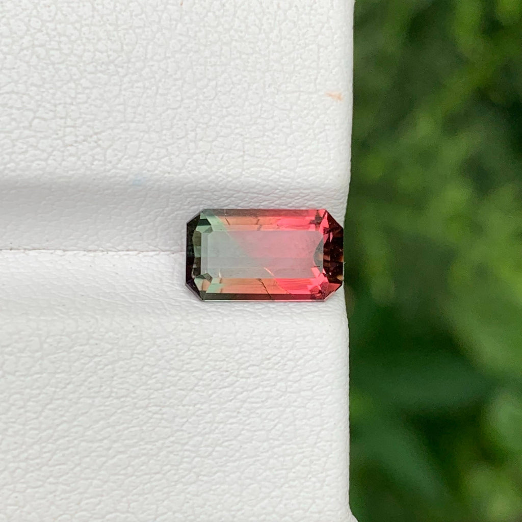1.65 Ct Natural Watermelon Tourmaline