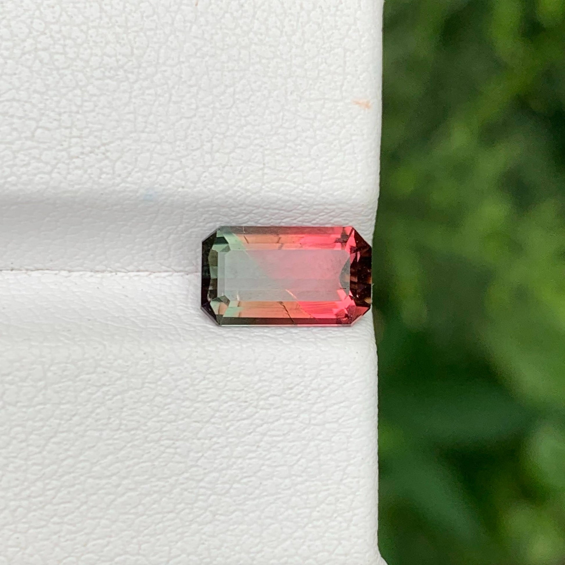 1.65 Ct Natural Watermelon Tourmaline