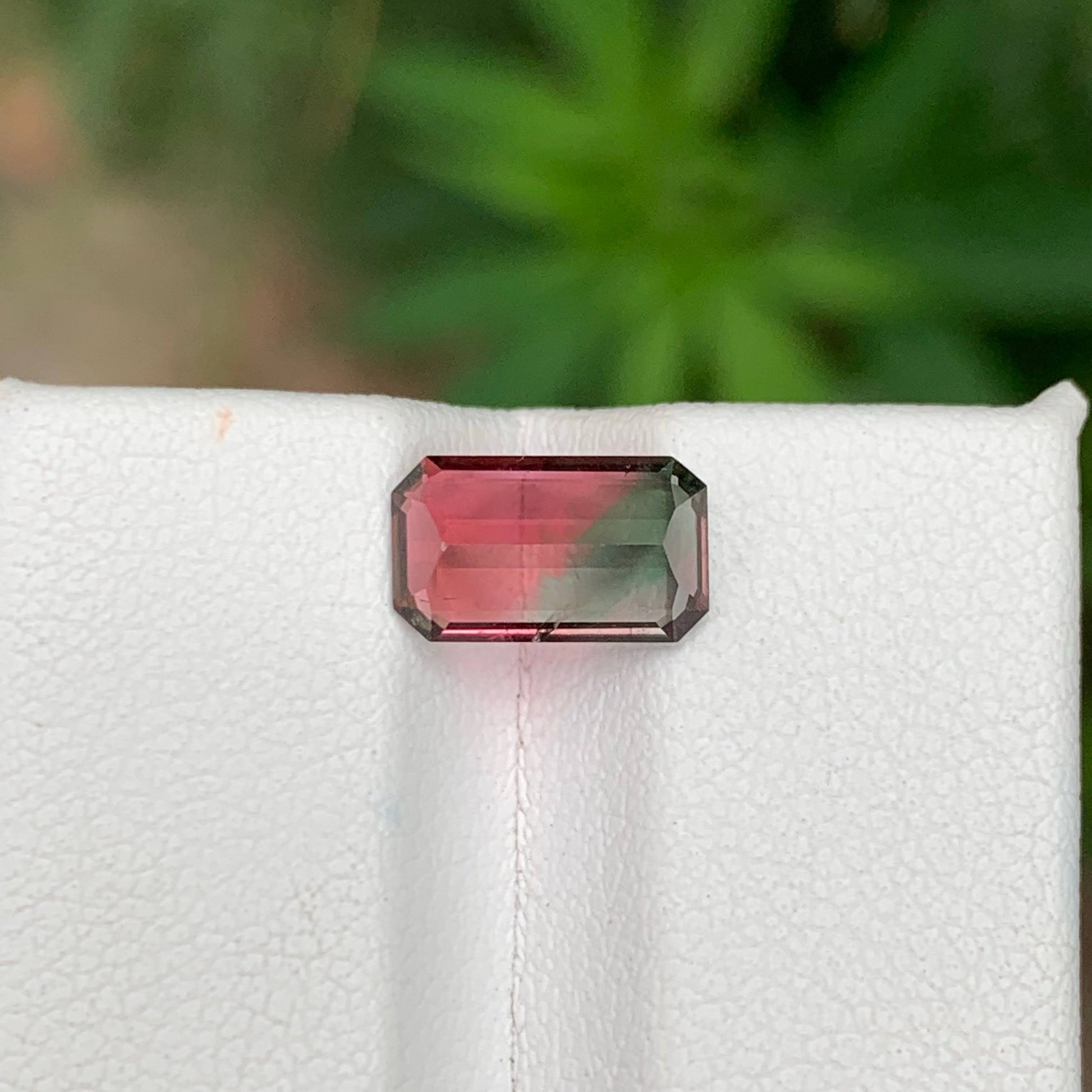 1.65 Ct Natural Watermelon Tourmaline