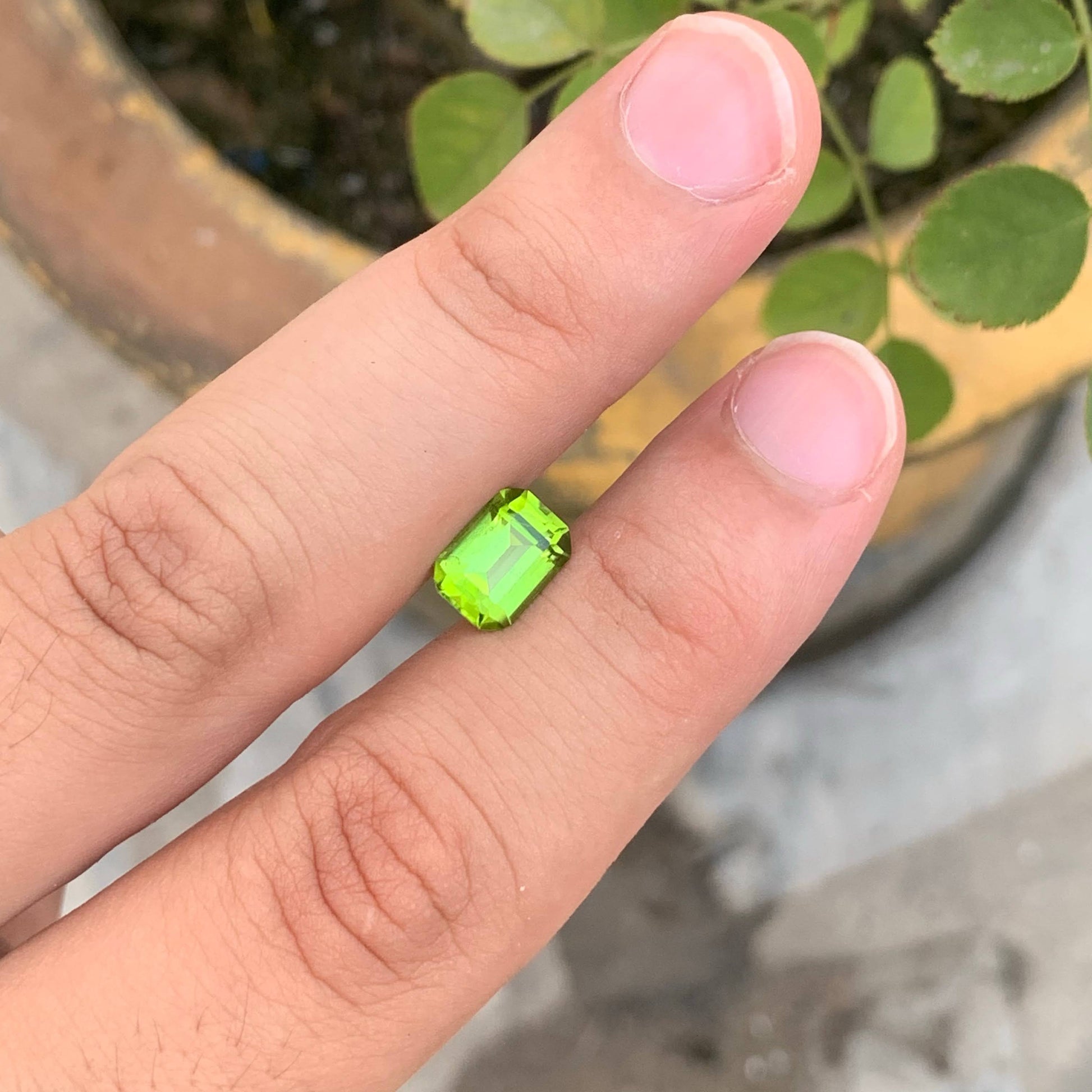 2.90 Ct Natural Apple Green Peridot Emerald