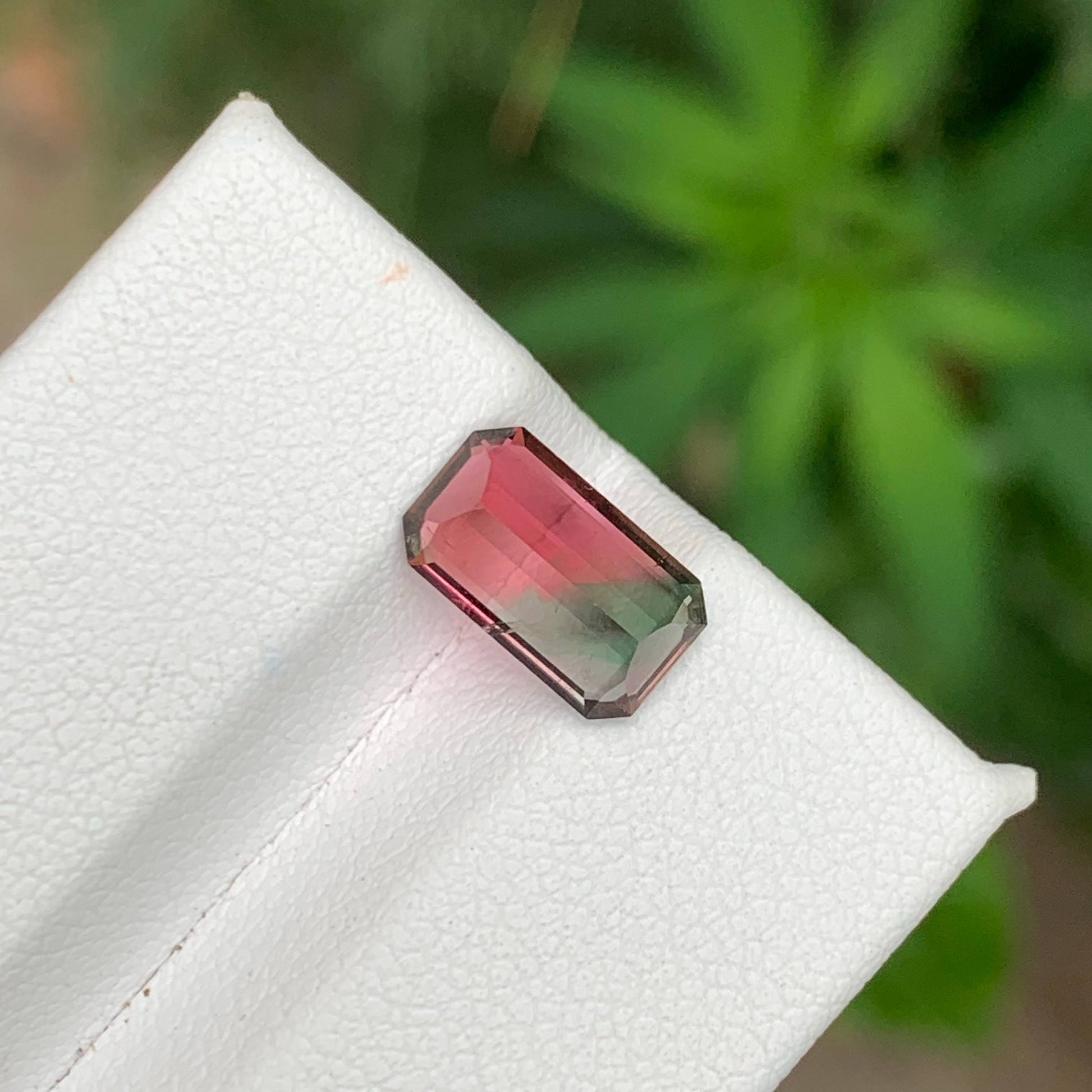 1.65 Ct Natural Watermelon Tourmaline