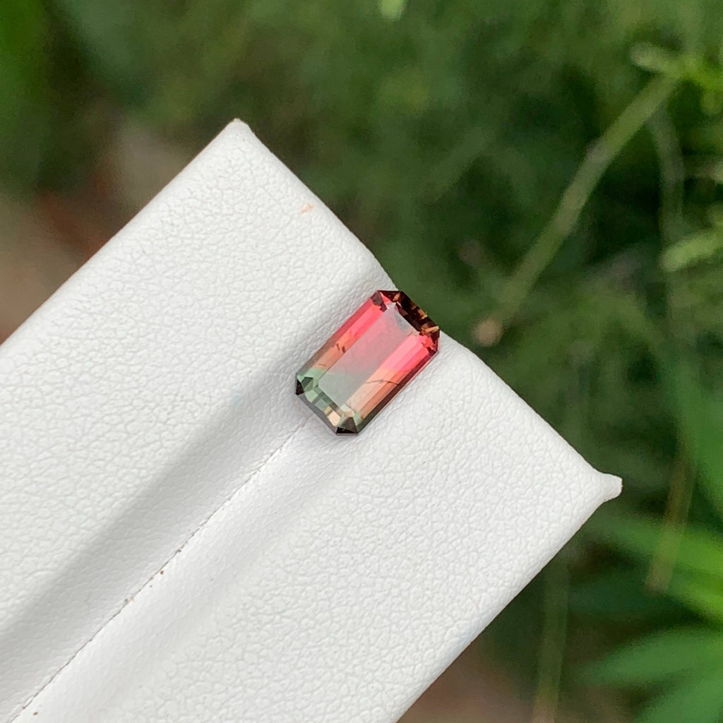 1.65 Ct Natural Watermelon Tourmaline
