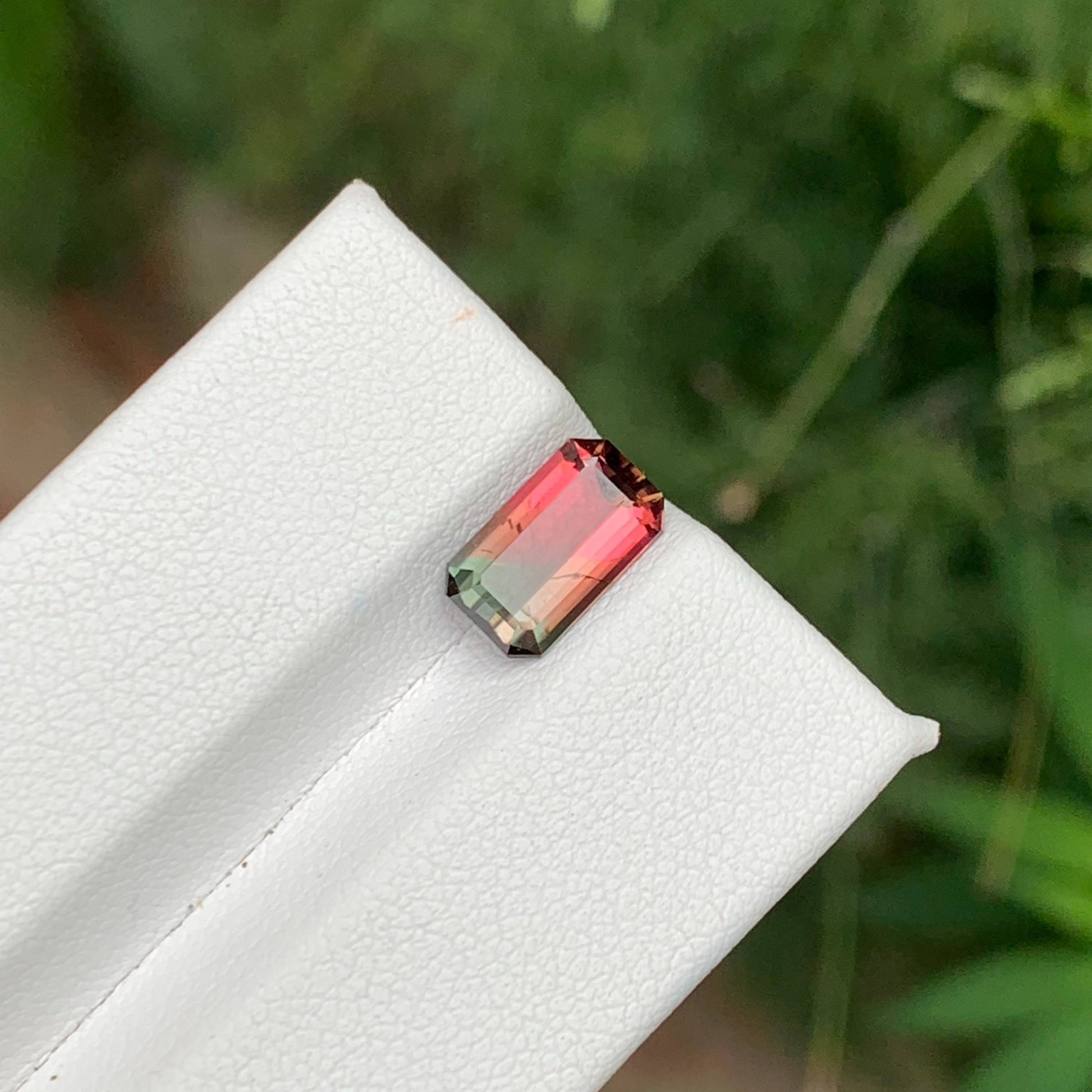 1.65 Ct Natural Watermelon Tourmaline